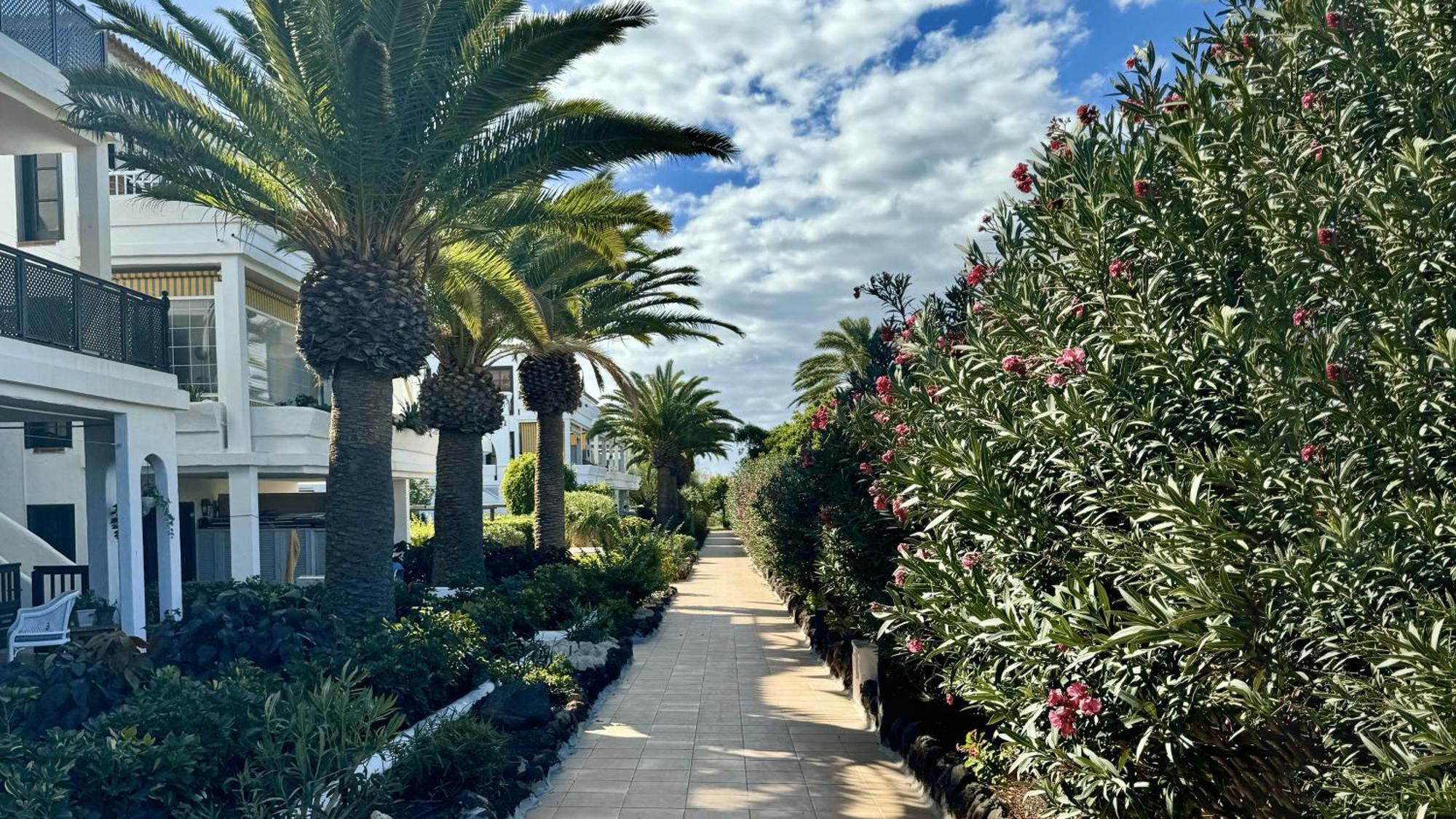 Serena Vista Golf 791 - Appartamento Confortevole A Amarilla Golf Сан Мигел де Абона Екстериор снимка